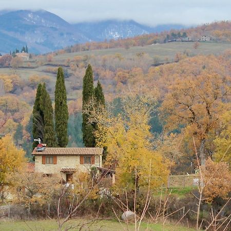 פרטוווקיו Agriturismo Mandrioli מראה חיצוני תמונה