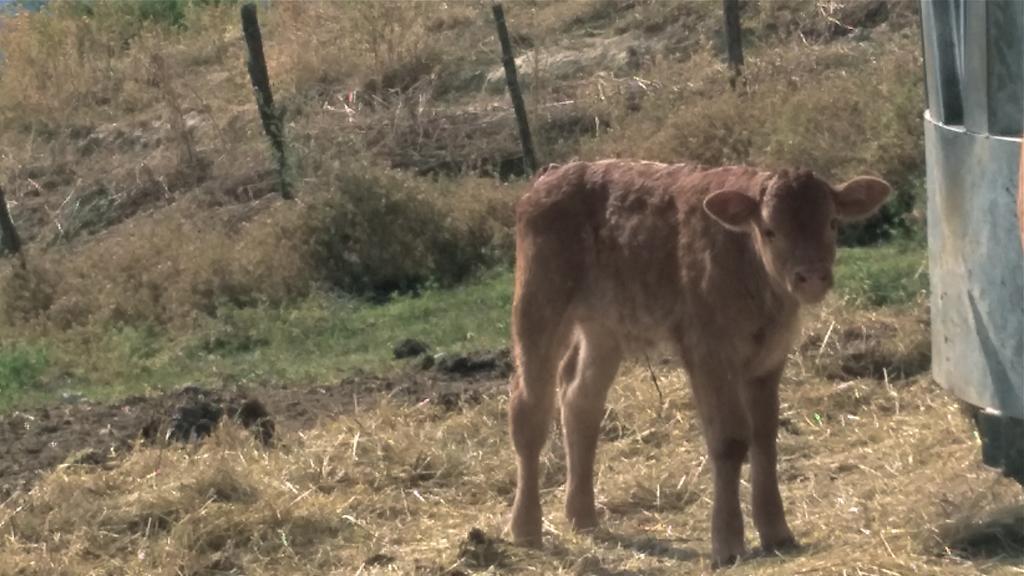 פרטוווקיו Agriturismo Mandrioli מראה חיצוני תמונה